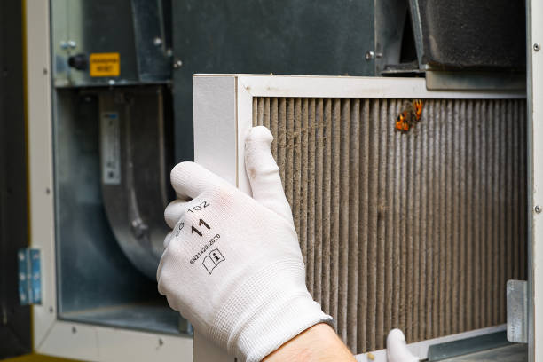Best Air Duct Cleaning Company Near Me  in Chigan Center, MI
