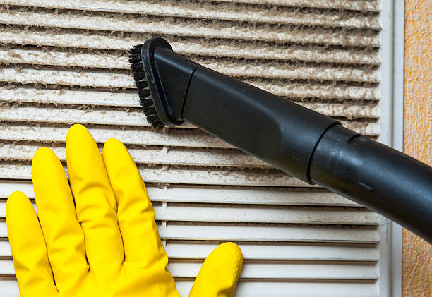 Best Emergency Air Duct Cleaning  in Chigan Center, MI